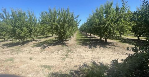 22095 State Highway 120, Escalon, CA 95320 Photo