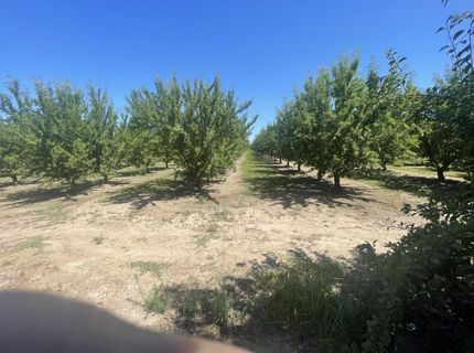 22095 State Highway 120, Escalon, CA 95320 Photo