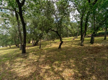 4245 Raphael Dr, El Dorado Hills, CA 95762 Photo