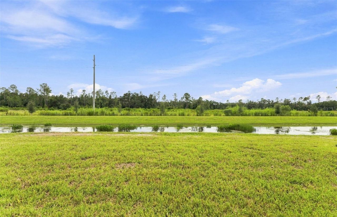 36790 Kistna Drive, Zephyrhills, FL 33540 Photo