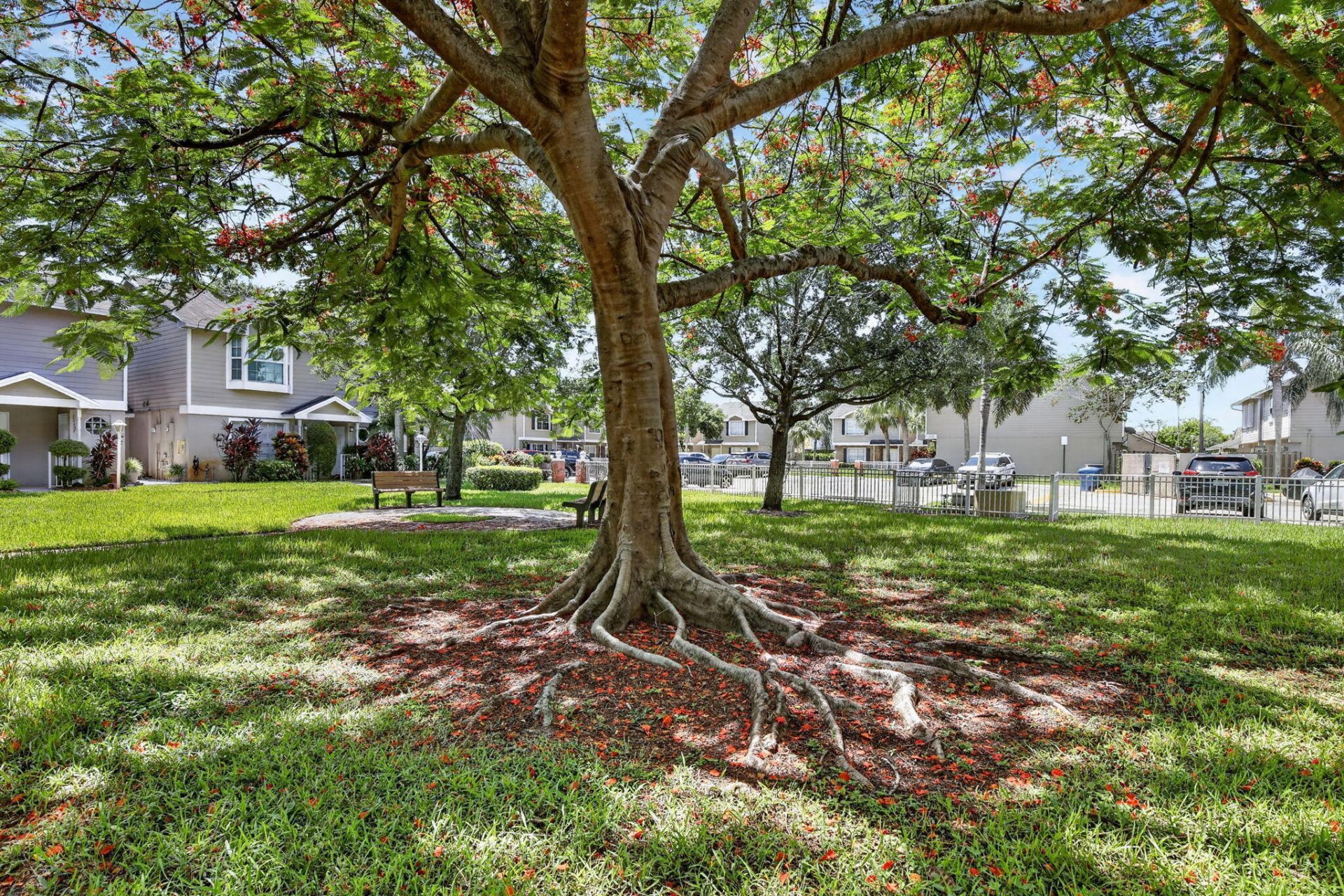 12175 NW 36th Place, Sunrise, FL 33323 Photo