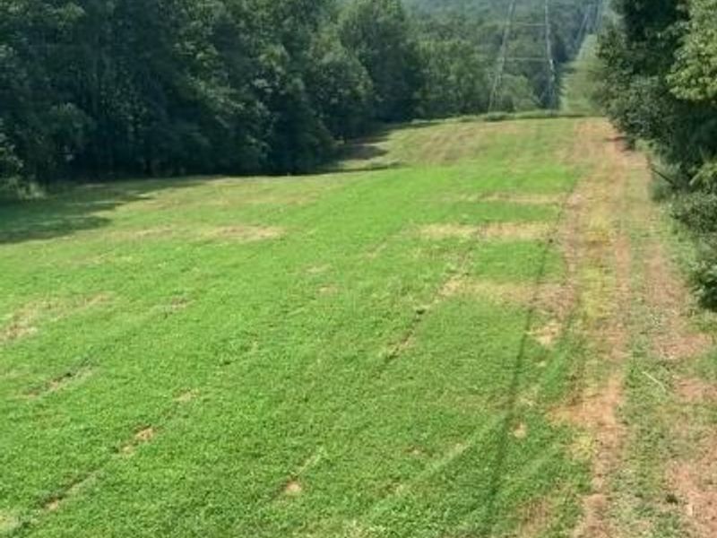 218 Acres Wilson Lane, Glencoe, KY 41046 Photo 4
