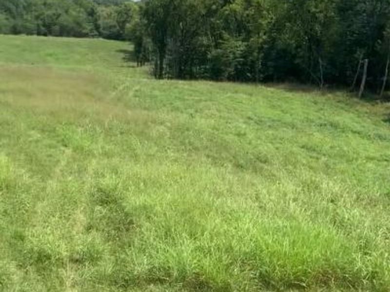 218 Acres Wilson Lane, Glencoe, KY 41046 Photo 5