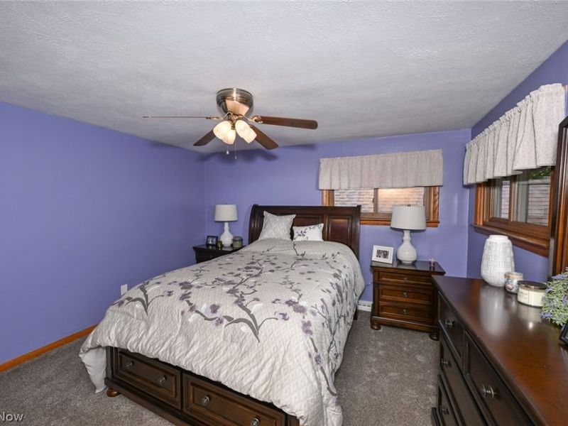 10953 Ambler Lane, Mantua, OH 44255 Photo 14