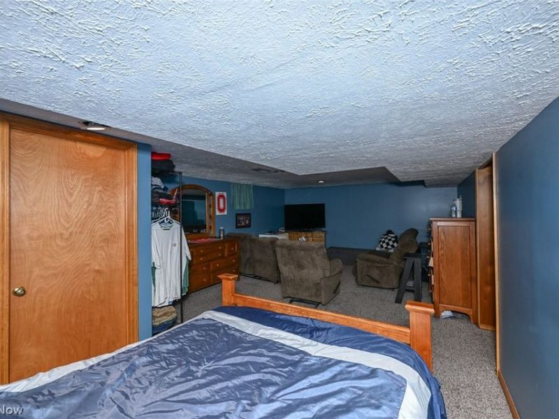 10953 Ambler Lane, Mantua, OH 44255 Photo 18