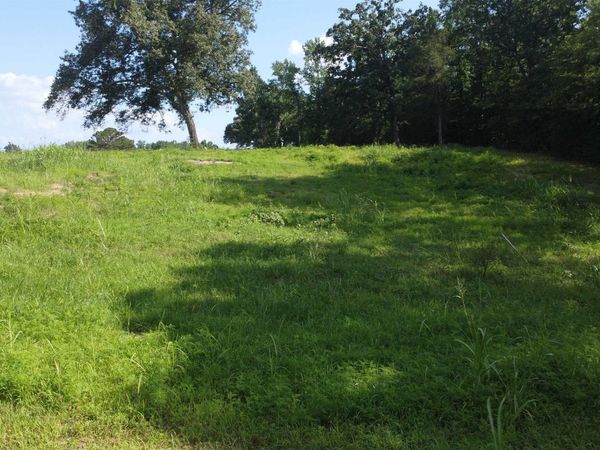 (Tract 07) TBD Whittington Homestead , Story, AR 71970