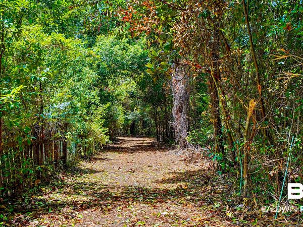 1407 Captain O'Neal Drive, Daphne, AL 36526
