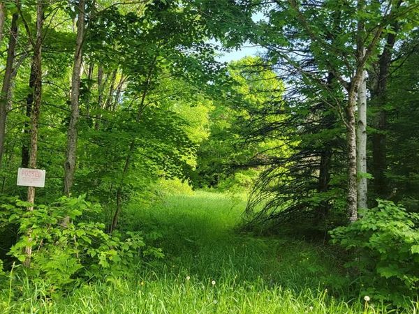 28A On Doland Road, Winter, WI 54896
