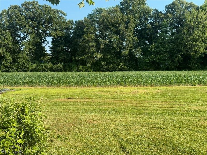 12096 Baumhart Road, Amherst, OH 44001 Photo 44