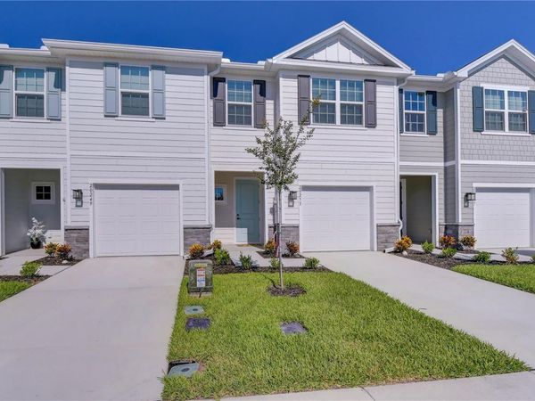 20253 LOU ANGELA LANE, LUTZ, FL 33558
