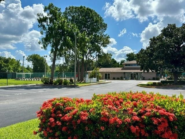 4833 Myrtle Oak Drive, Unit 25, New Port Richey, FL 34653 Photo