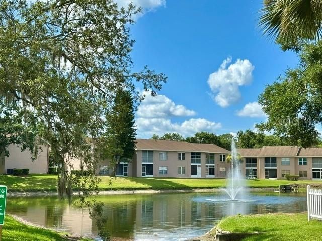 4833 Myrtle Oak Drive, Unit 25, New Port Richey, FL 34653 Photo