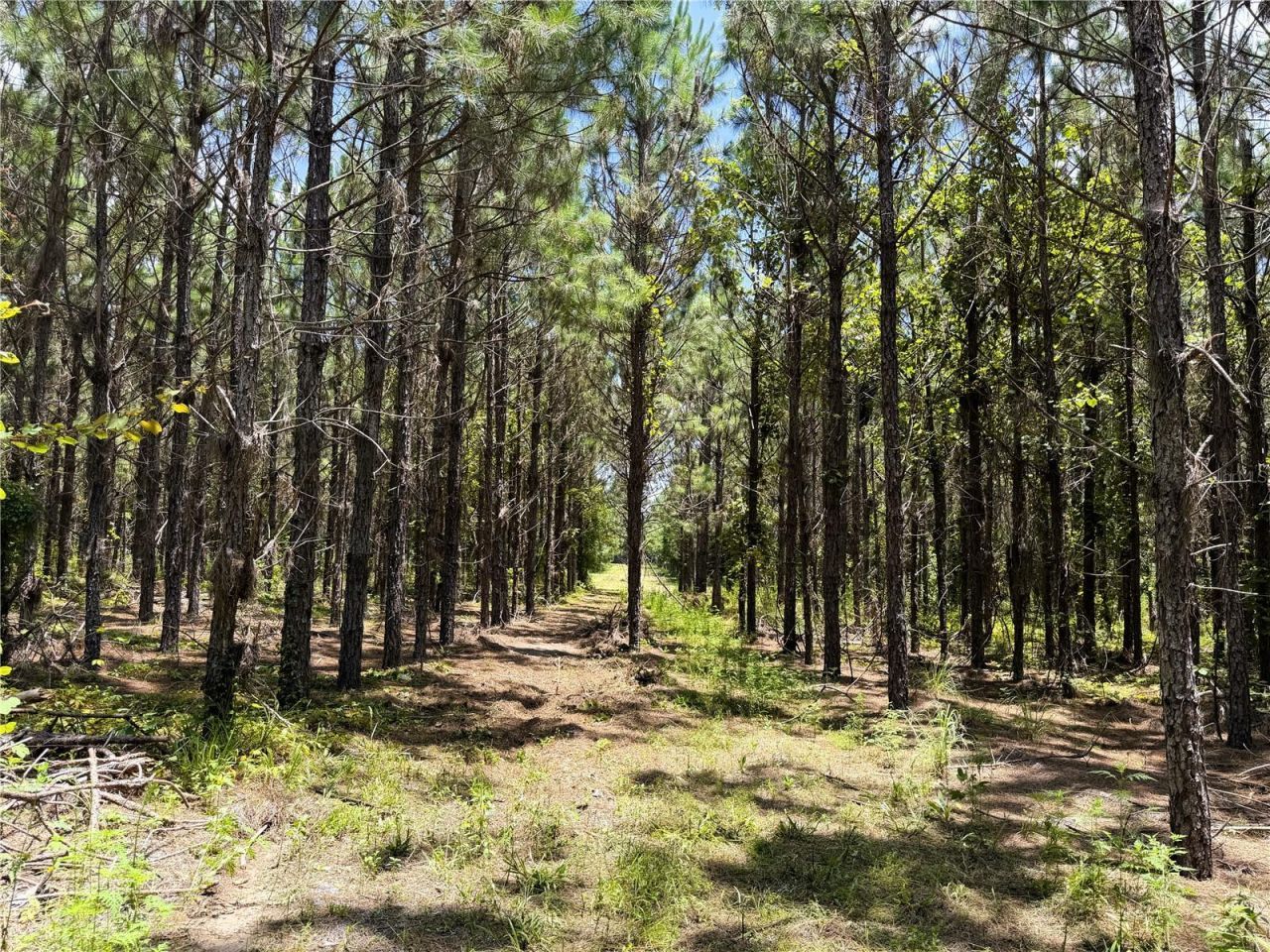 9970 SE 154th Avenue , White Springs, FL 32096 Photo