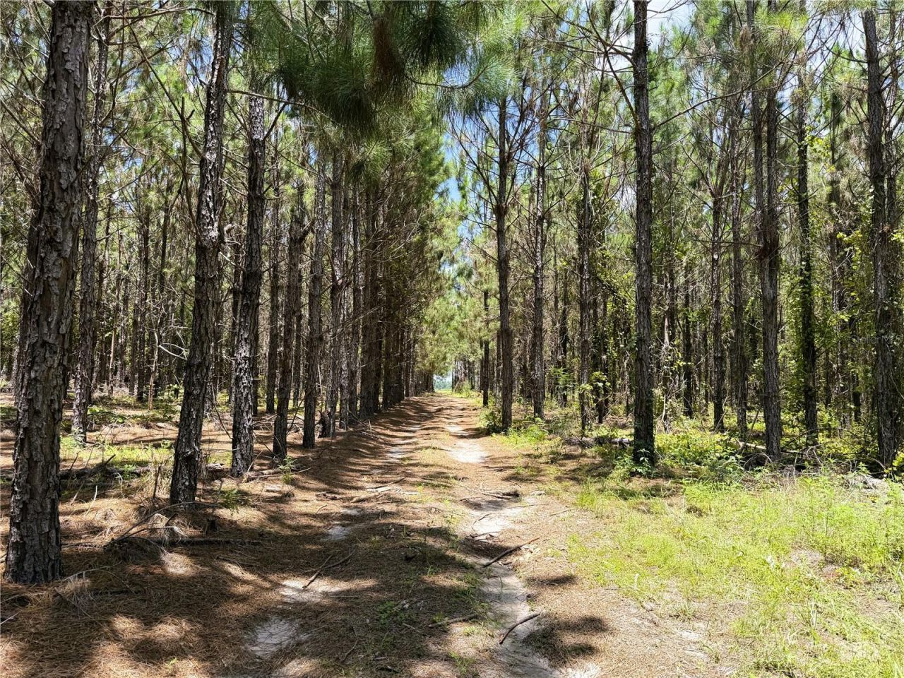 9970 SE 154th Avenue , White Springs, FL 32096 Photo
