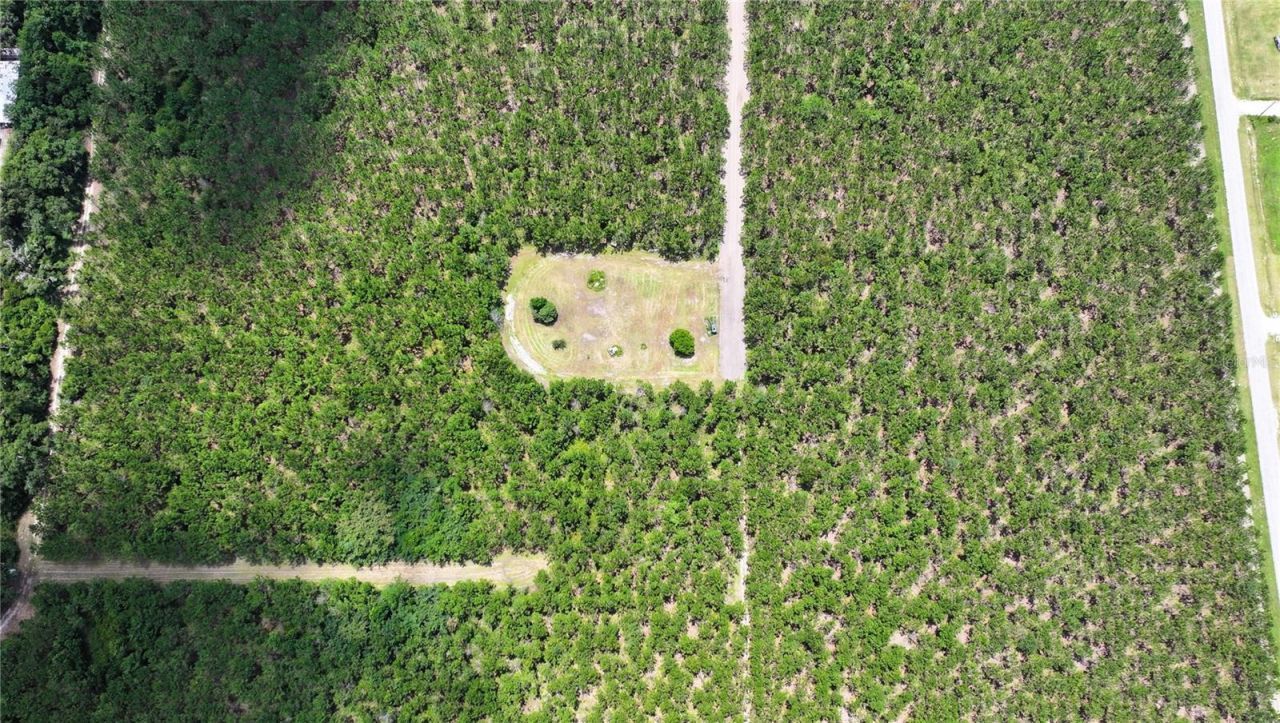 9970 SE 154th Avenue , White Springs, FL 32096 Photo