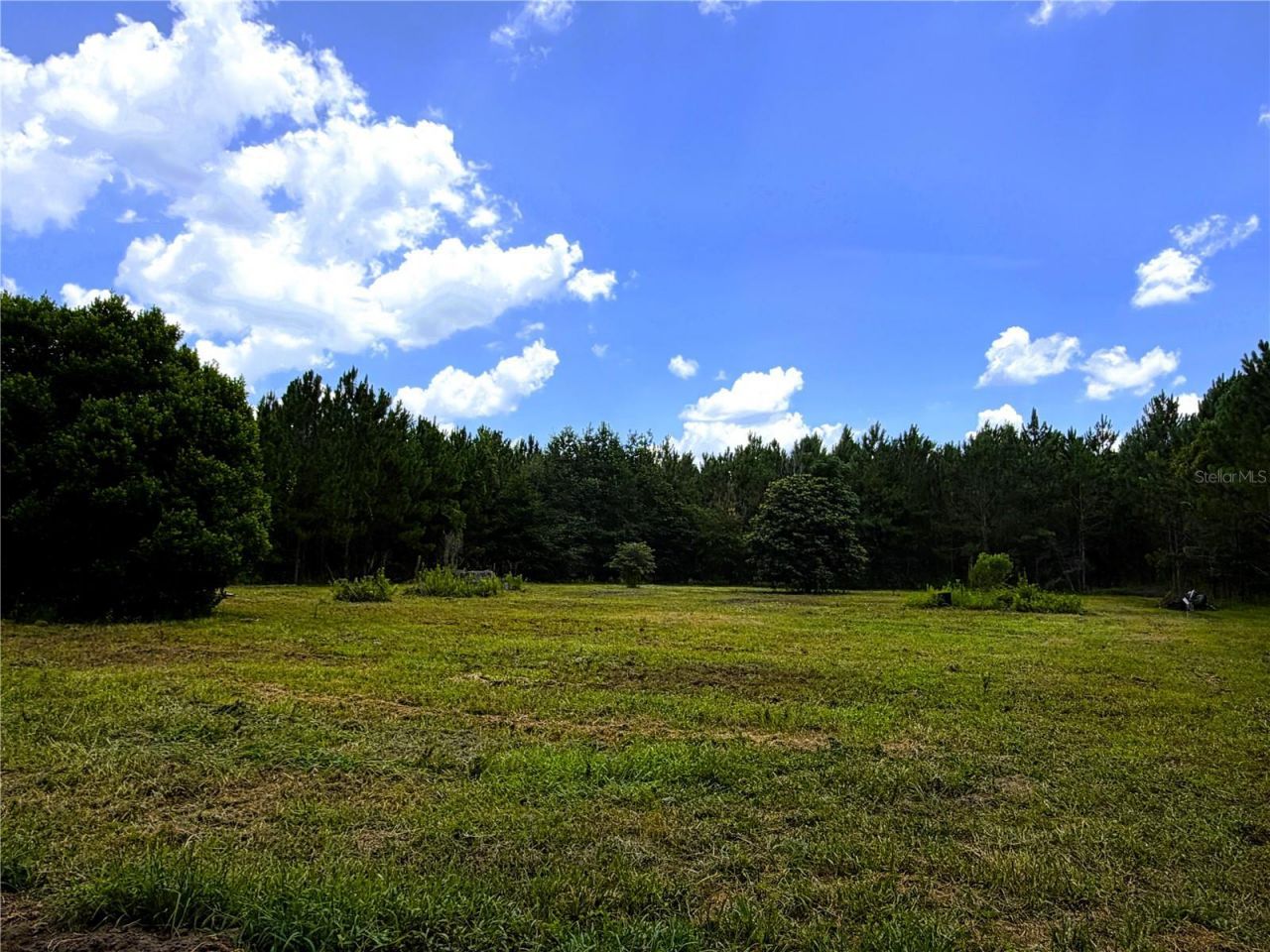 9970 SE 154th Avenue , White Springs, FL 32096 Photo