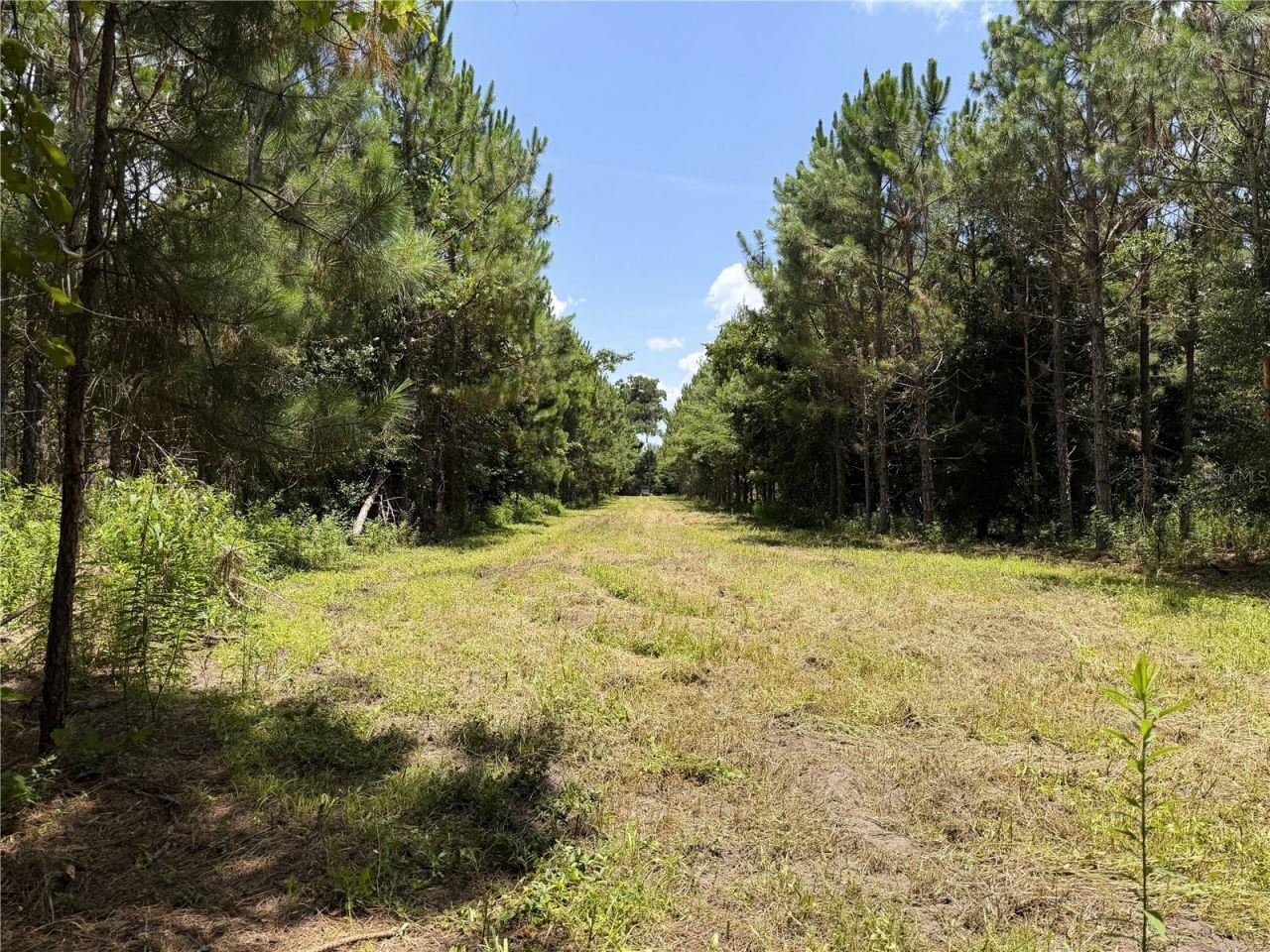 9970 SE 154th Avenue , White Springs, FL 32096 Photo