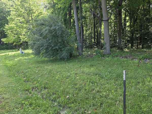 17645 Summerhill Lane, Unit 41, New Buffalo, MI 49117