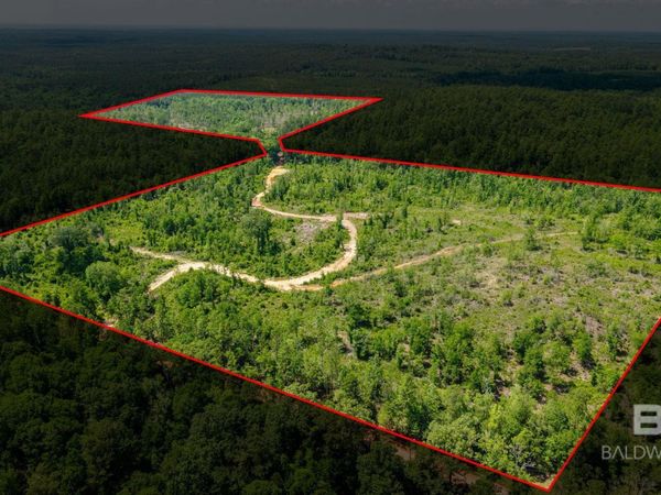 0 Joe Hall Road, Bay Minette, AL 36507