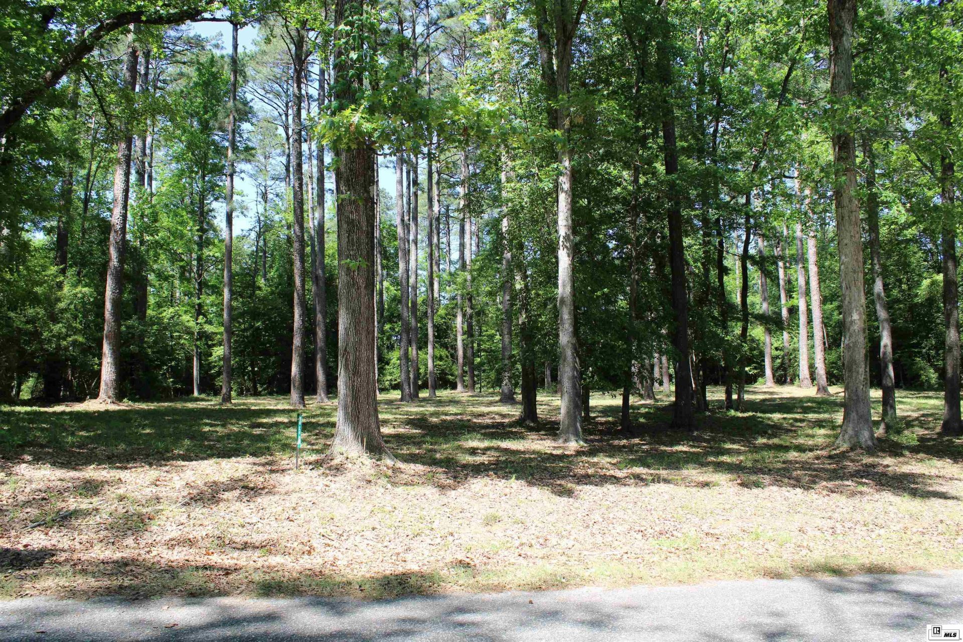 356 Woodsway Circle, Chatham, LA 71226 Main Photo