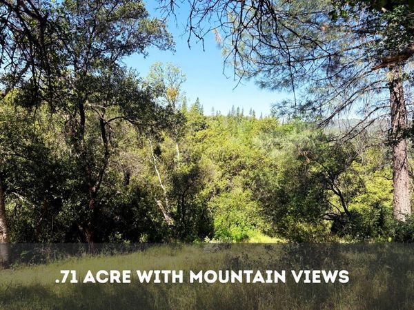 Sheep Ranch Rd., Sheep Ranch, CA 95246