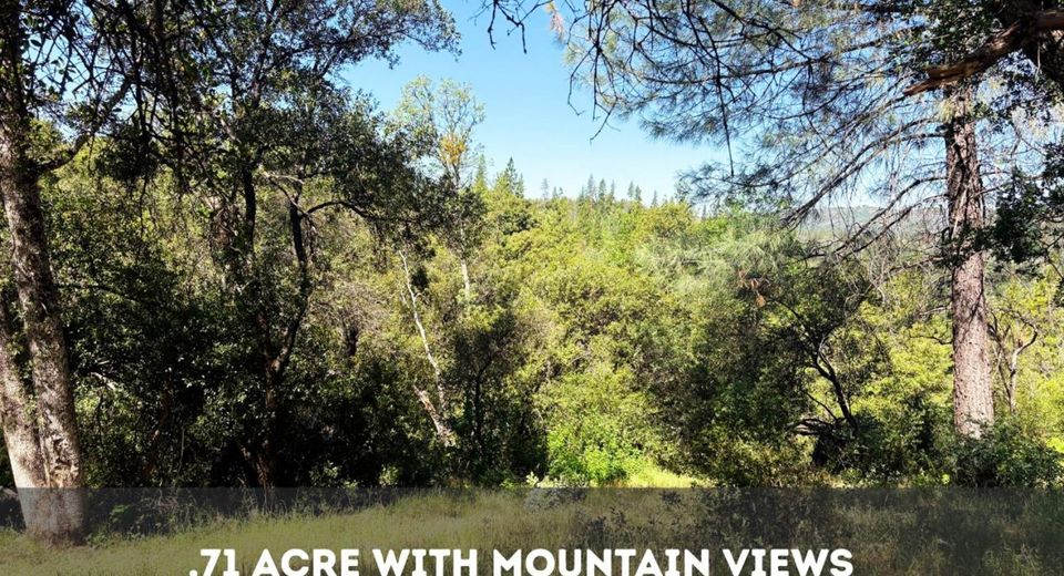 Sheep Ranch Rd., Sheep Ranch, CA 95246 Photo