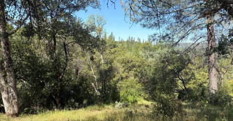 Sheep Ranch Rd., Sheep Ranch, CA 95246 Photo