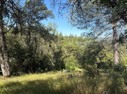 Sheep Ranch Rd., Sheep Ranch, CA 95246 Photo