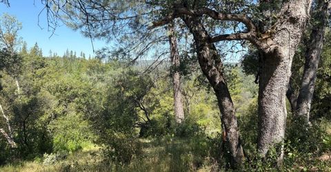 Sheep Ranch Rd., Sheep Ranch, CA 95246 Photo