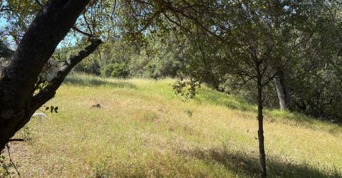 Sheep Ranch Rd., Sheep Ranch, CA 95246 Photo