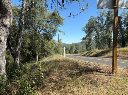 Sheep Ranch Rd., Sheep Ranch, CA 95246 Photo