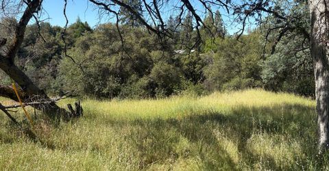 Sheep Ranch Rd., Sheep Ranch, CA 95246 Photo