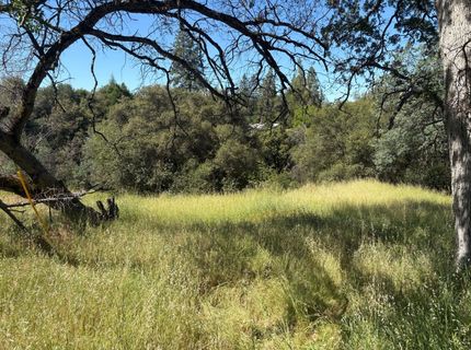 Sheep Ranch Rd., Sheep Ranch, CA 95246 Photo