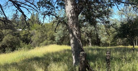 Sheep Ranch Rd., Sheep Ranch, CA 95246 Photo