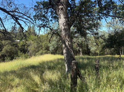Sheep Ranch Rd., Sheep Ranch, CA 95246 Photo