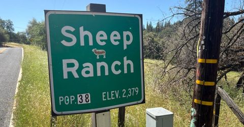 Sheep Ranch Rd., Sheep Ranch, CA 95246 Photo