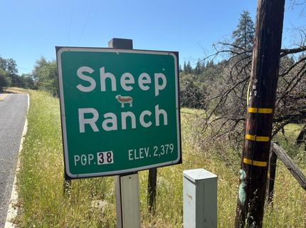 Sheep Ranch Rd., Sheep Ranch, CA 95246 Photo