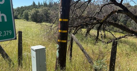 Sheep Ranch Rd., Sheep Ranch, CA 95246 Photo