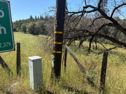 Sheep Ranch Rd., Sheep Ranch, CA 95246 Photo