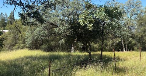 Sheep Ranch Rd., Sheep Ranch, CA 95246 Photo