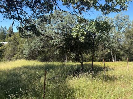 Sheep Ranch Rd., Sheep Ranch, CA 95246 Photo