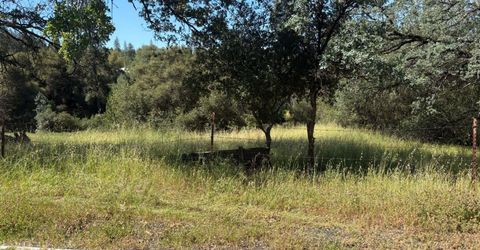 Sheep Ranch Rd., Sheep Ranch, CA 95246 Photo