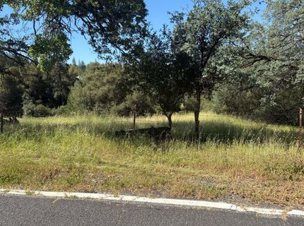 Sheep Ranch Rd., Sheep Ranch, CA 95246 Photo