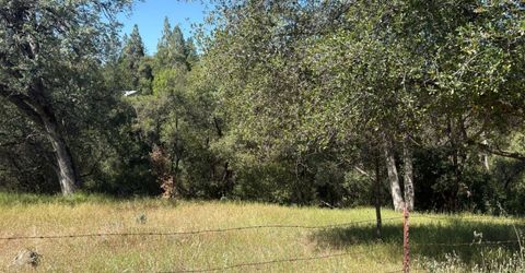Sheep Ranch Rd., Sheep Ranch, CA 95246 Photo