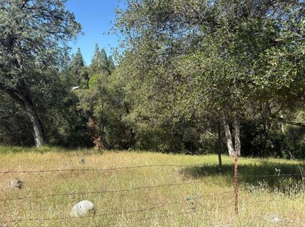 Sheep Ranch Rd., Sheep Ranch, CA 95246 Photo