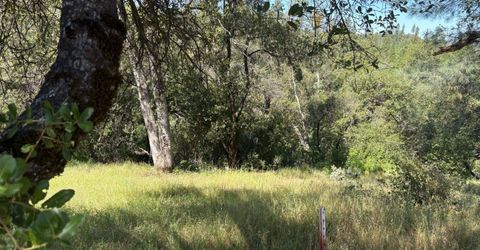 Sheep Ranch Rd., Sheep Ranch, CA 95246 Photo