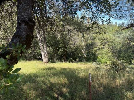 Sheep Ranch Rd., Sheep Ranch, CA 95246 Photo