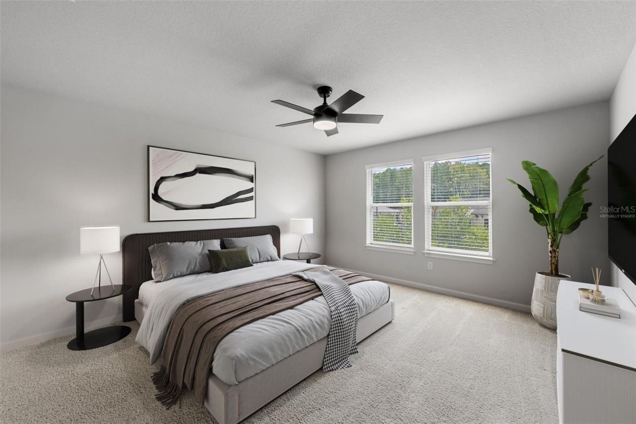 4366 Cloud Hopper Way, Lutz, FL 33559 Photo