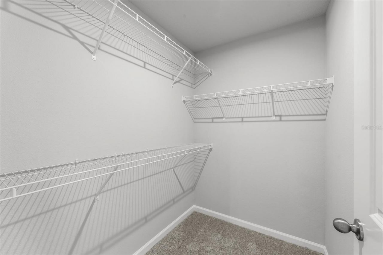 4366 Cloud Hopper Way, Lutz, FL 33559 Photo