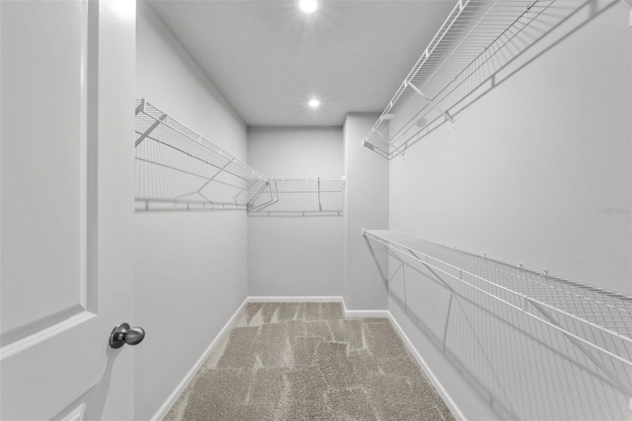 4366 Cloud Hopper Way, Lutz, FL 33559 Photo